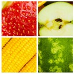 6 Steps To Slow Down And Reconnect With Our Food: My Lastest Article with Mind-Body-Green