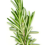 Herbs: Easy to grow and add to your cooking and so nutritious!