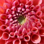 Using The Hormone Cure to Address PMS