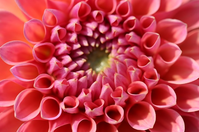 Using The Hormone Cure to Address PMS